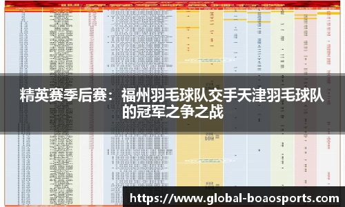 精英赛季后赛：福州羽毛球队交手天津羽毛球队的冠军之争之战